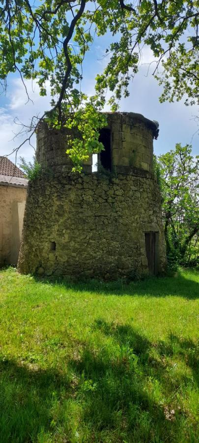 Moulin De Bigorre Villa Saint-Genes-de-Castillon Ngoại thất bức ảnh